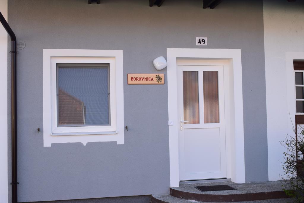 Apartament Borovnica Catez Catez ob Savi Zewnętrze zdjęcie